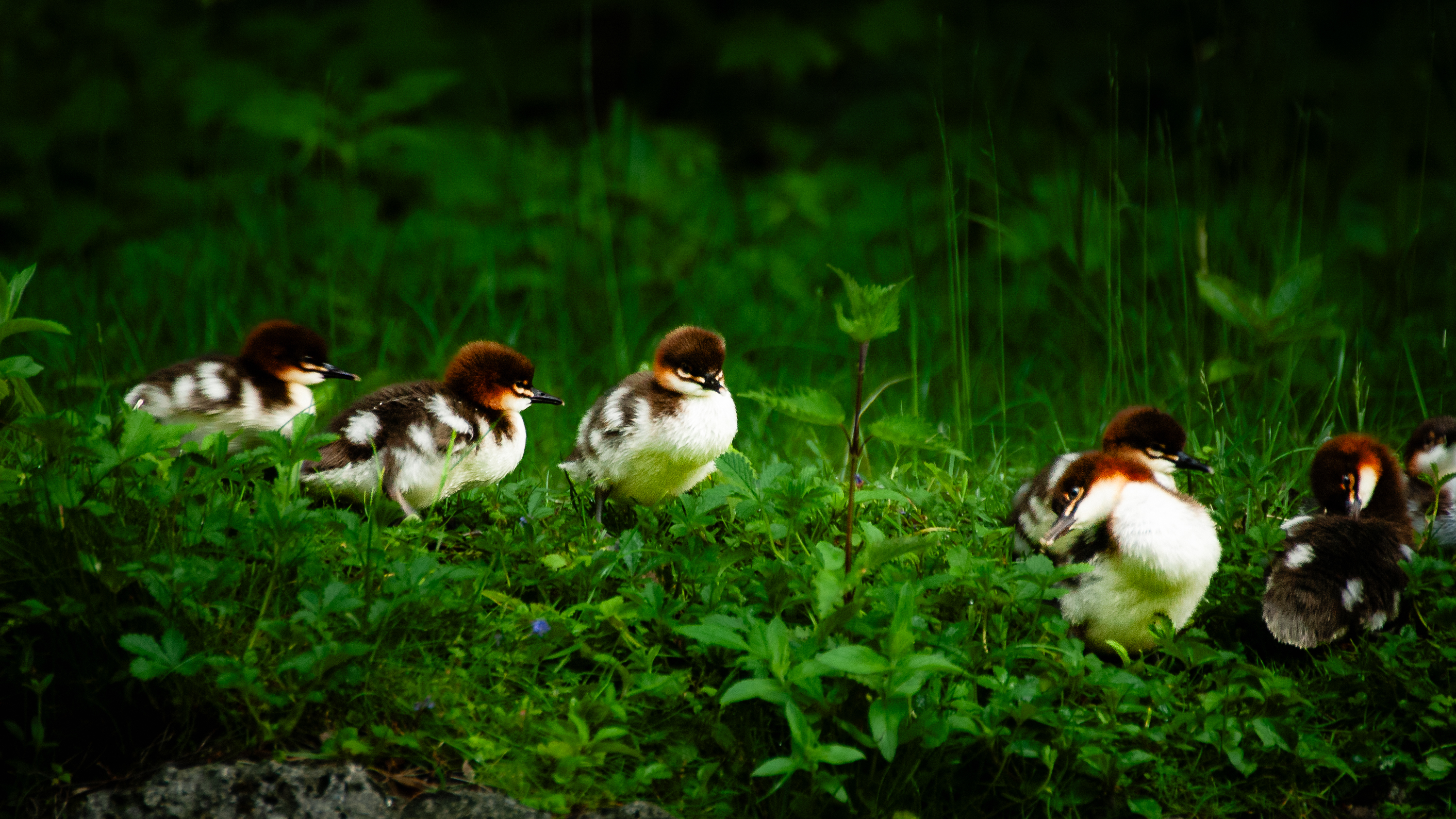 VHS Nymphenburg - 02146